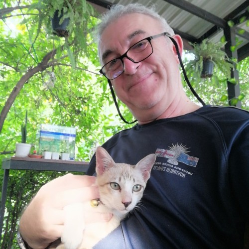 Simon H. profile photo