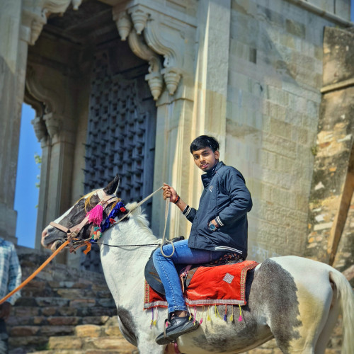 Dipak R. profile photo