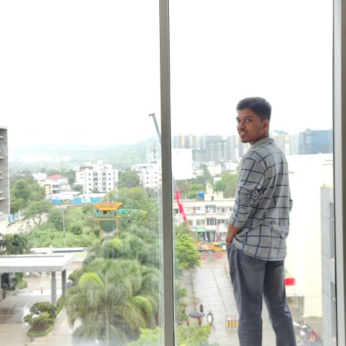 Himanshu P.
