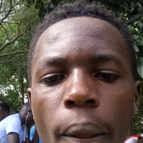 Martin  C. profile photo