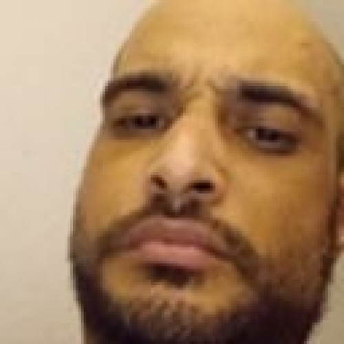 Steven B. profile photo