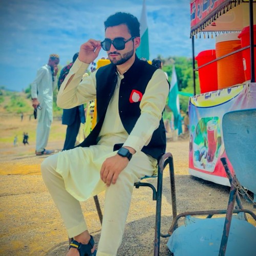 Naveed T.