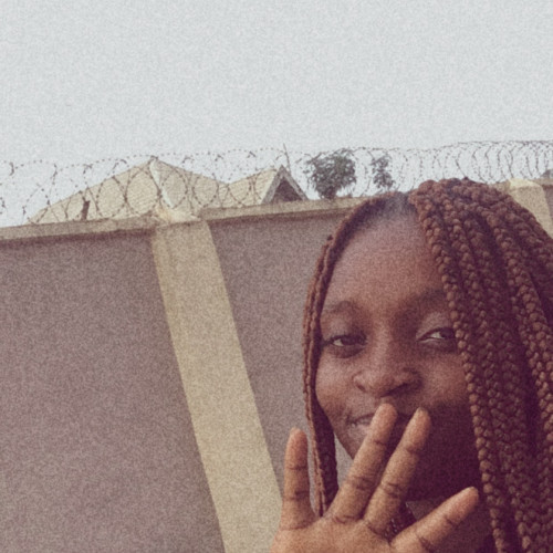 Adeshola T. profile photo