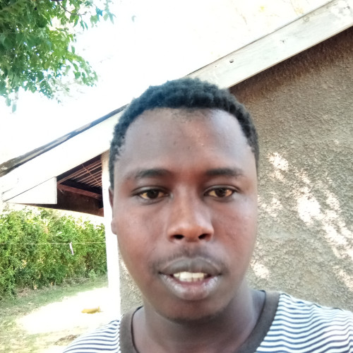 Simon M. profile photo