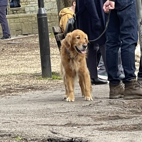 Irish R. profile photo