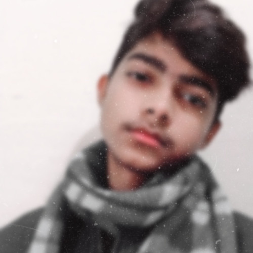 Amandeep  N. profile photo
