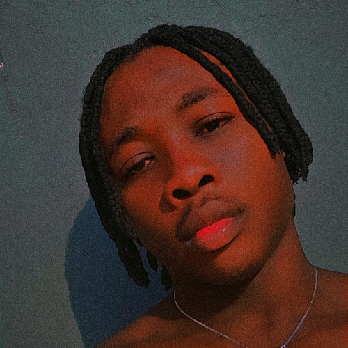Bakaara  N. profile photo