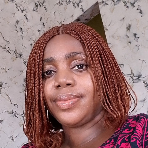 Olayiwola T. profile photo