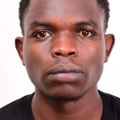 King M. profile photo