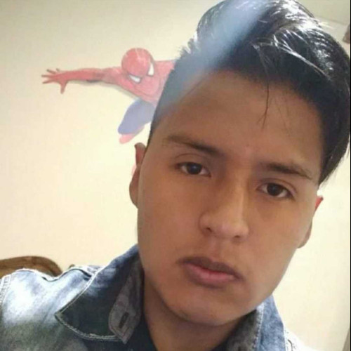 Miguel M. profile photo