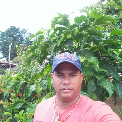 Alexander P. profile photo