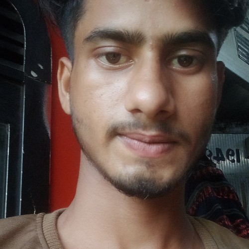 Bittu K.