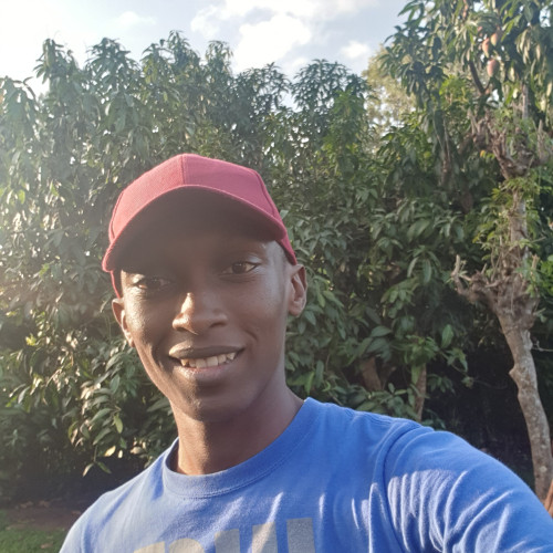 Collins N. profile photo