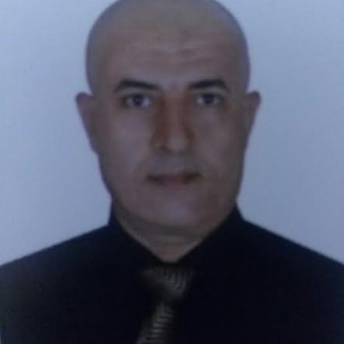 Mohamed A.
