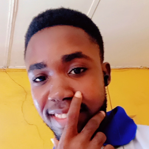 Ayodeji  B. profile photo