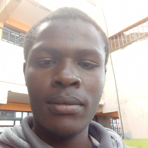 Alex n. profile photo