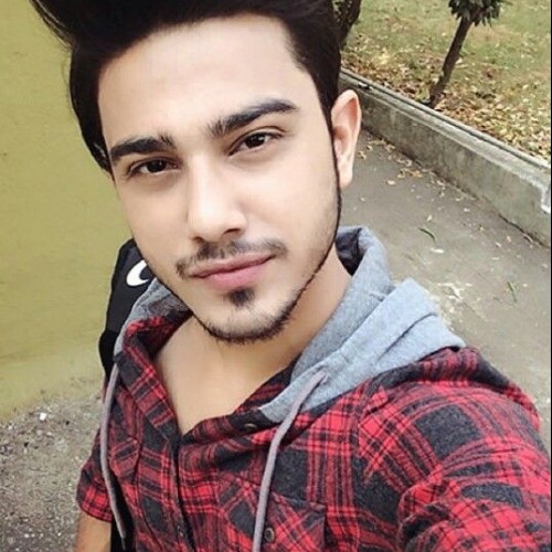 Dinesh  K. profile photo