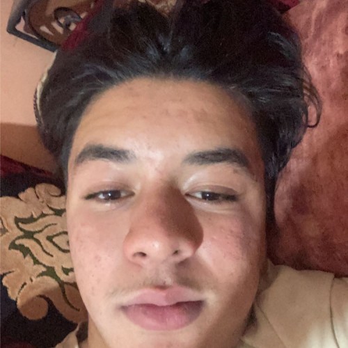 Hamza E. profile photo