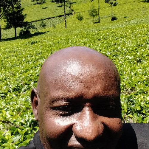 Wycliffe K. profile photo