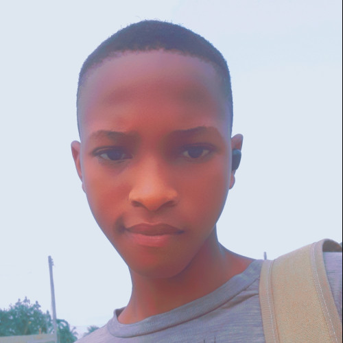 Osara  D. profile photo