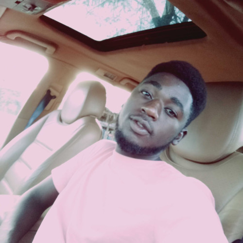 tatenda n. profile photo