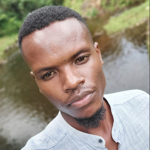 Brian N. profile photo