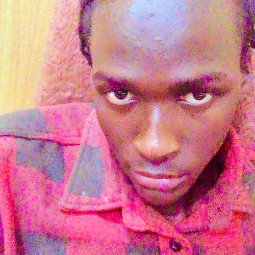 dahiru d. profile photo