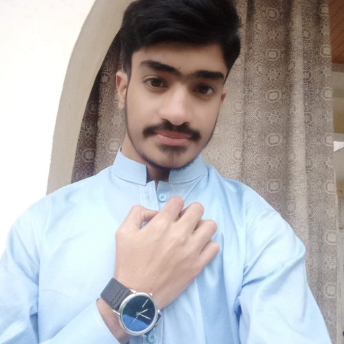 Hamza R. profile photo