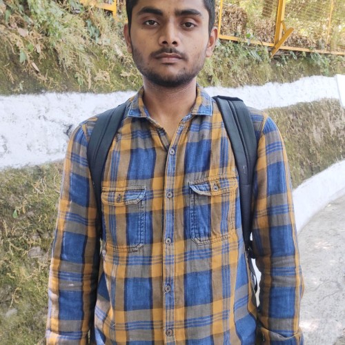 kulvir s.