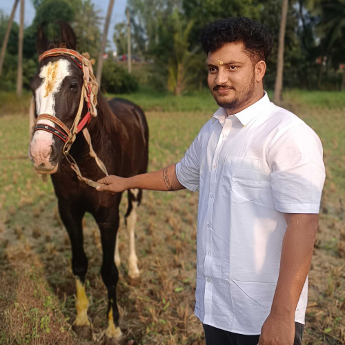 Hemanth K. profile photo