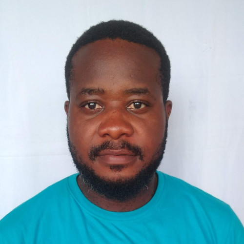 Uche  N. profile photo