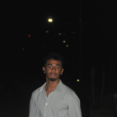 BADREDDINE N. profile photo