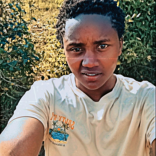 David N. profile photo