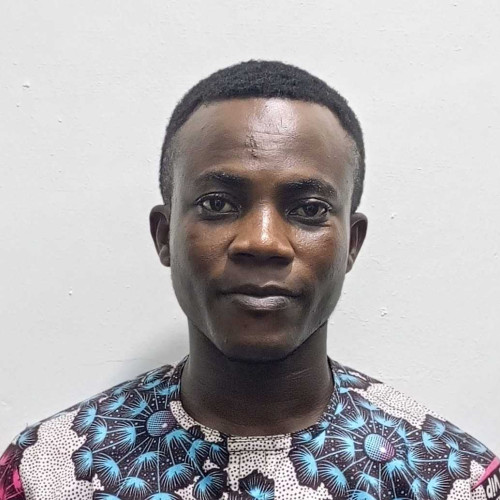 Adeniyi M.