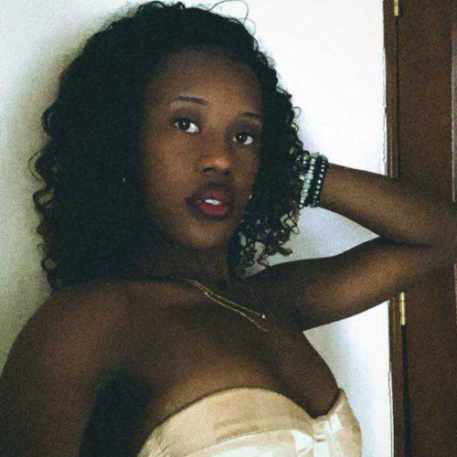 chemsa N.