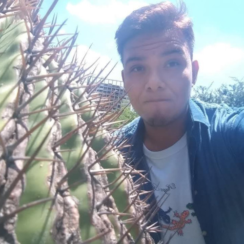 Braulio C. profile photo