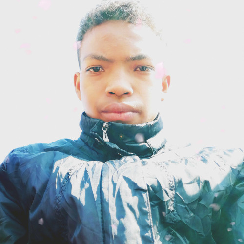 Toavina R. profile photo