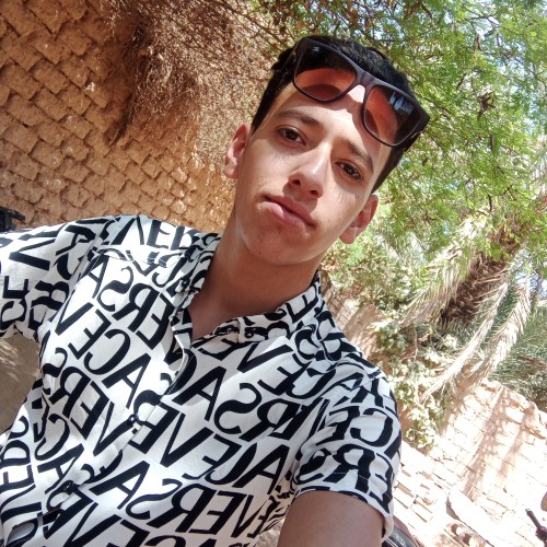 Daieddine  B. profile photo