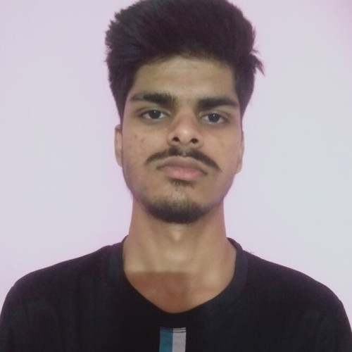 Vikash V.