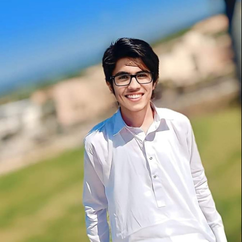 Hamza A. profile photo