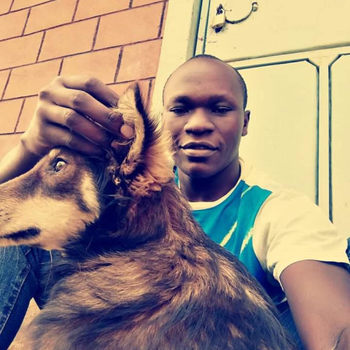 Brianruiz K. profile photo