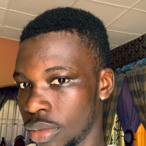 Olayinka A. profile photo