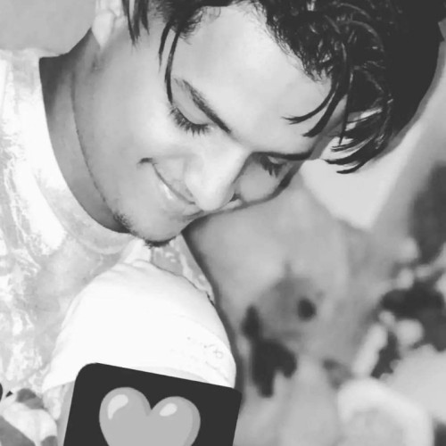 mezzi M. profile photo