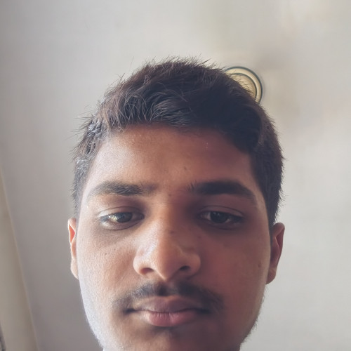 Ali S. profile photo