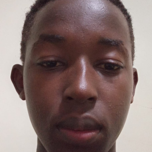 Kennedy K. profile photo