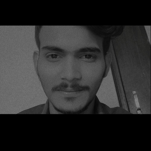 Stark M. profile photo