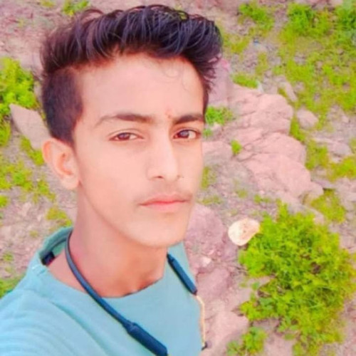 Sanjusisodiya S. profile photo