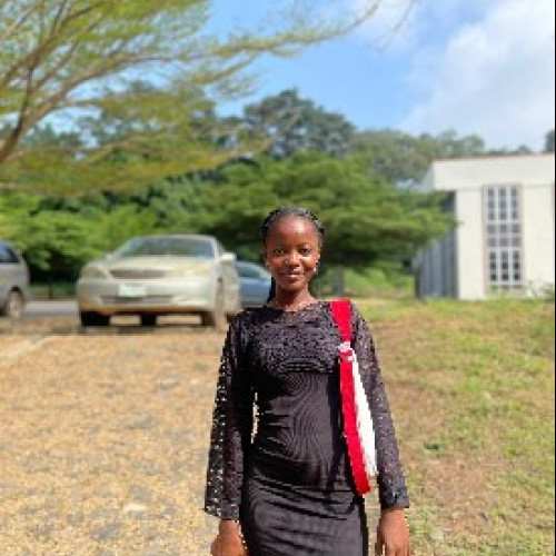 Adeyewa S. profile photo