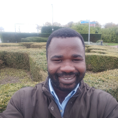David A. profile photo