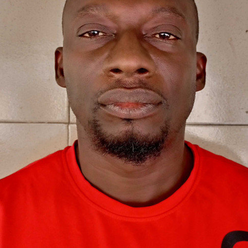shola o.